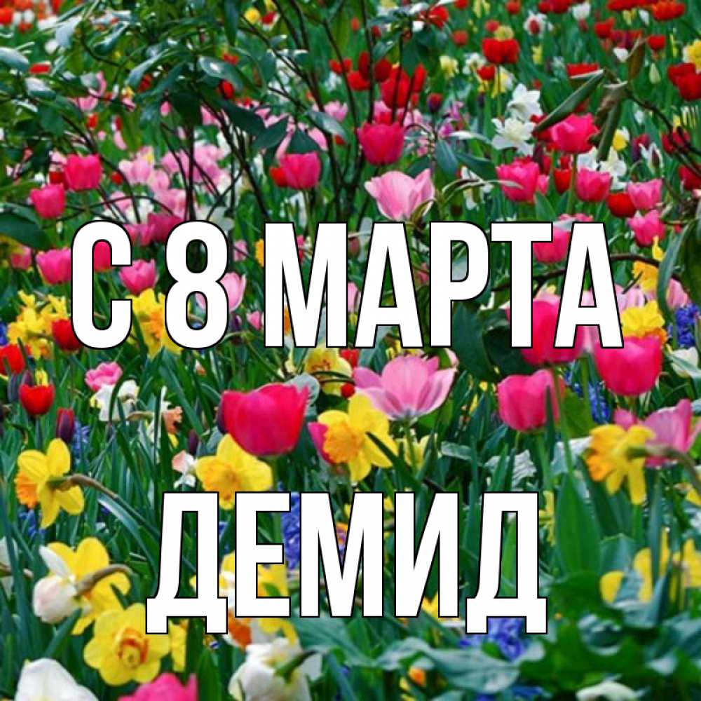 Открытка на каждый день с именем, Демид С 8 МАРТА с международным женским днем поздравления для женщины Прикольная открытка с пожеланием онлайн скачать бесплатно 