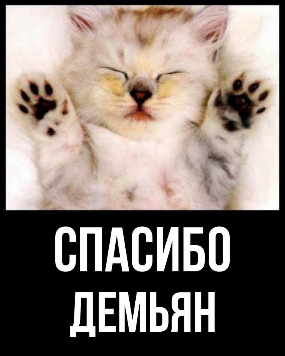 Открытка на каждый день с именем, Демьян Спасибо маленький котенок Прикольная открытка с пожеланием онлайн скачать бесплатно 