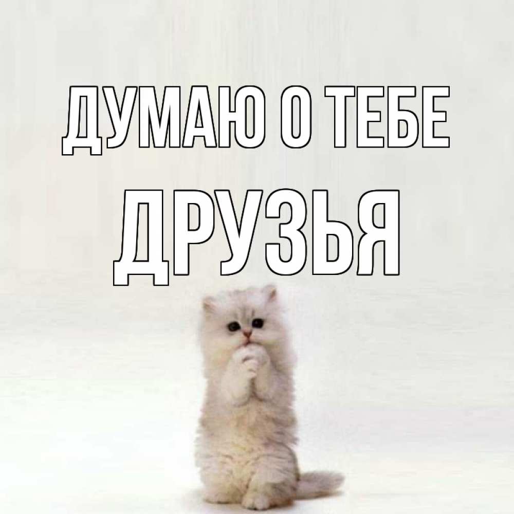 Открытка на каждый день с именем, Друзья Думаю о тебе кот стоит на задних лапах Прикольная открытка с пожеланием онлайн скачать бесплатно 