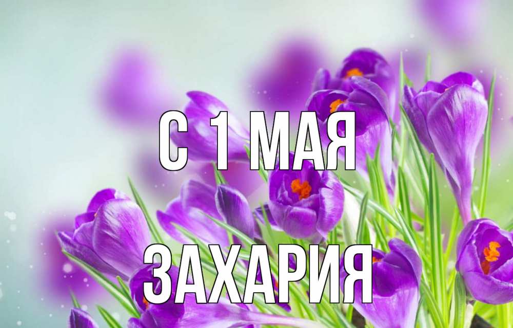 Открытка на каждый день с именем, Захария С 1 мая 1 мая Прикольная открытка с пожеланием онлайн скачать бесплатно 