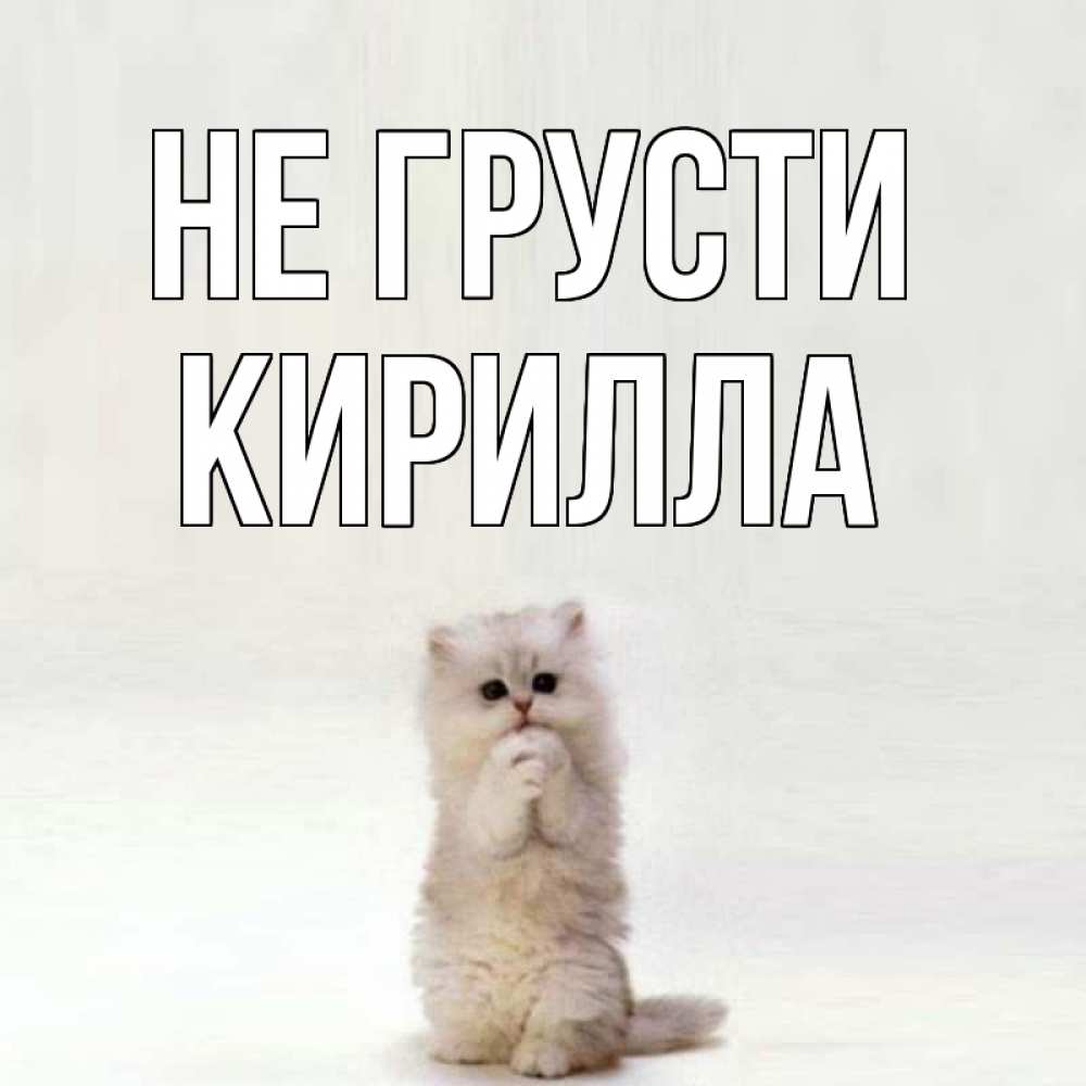 Открытка на каждый день с именем, Кирилла Не грусти грустный кот Прикольная открытка с пожеланием онлайн скачать бесплатно 