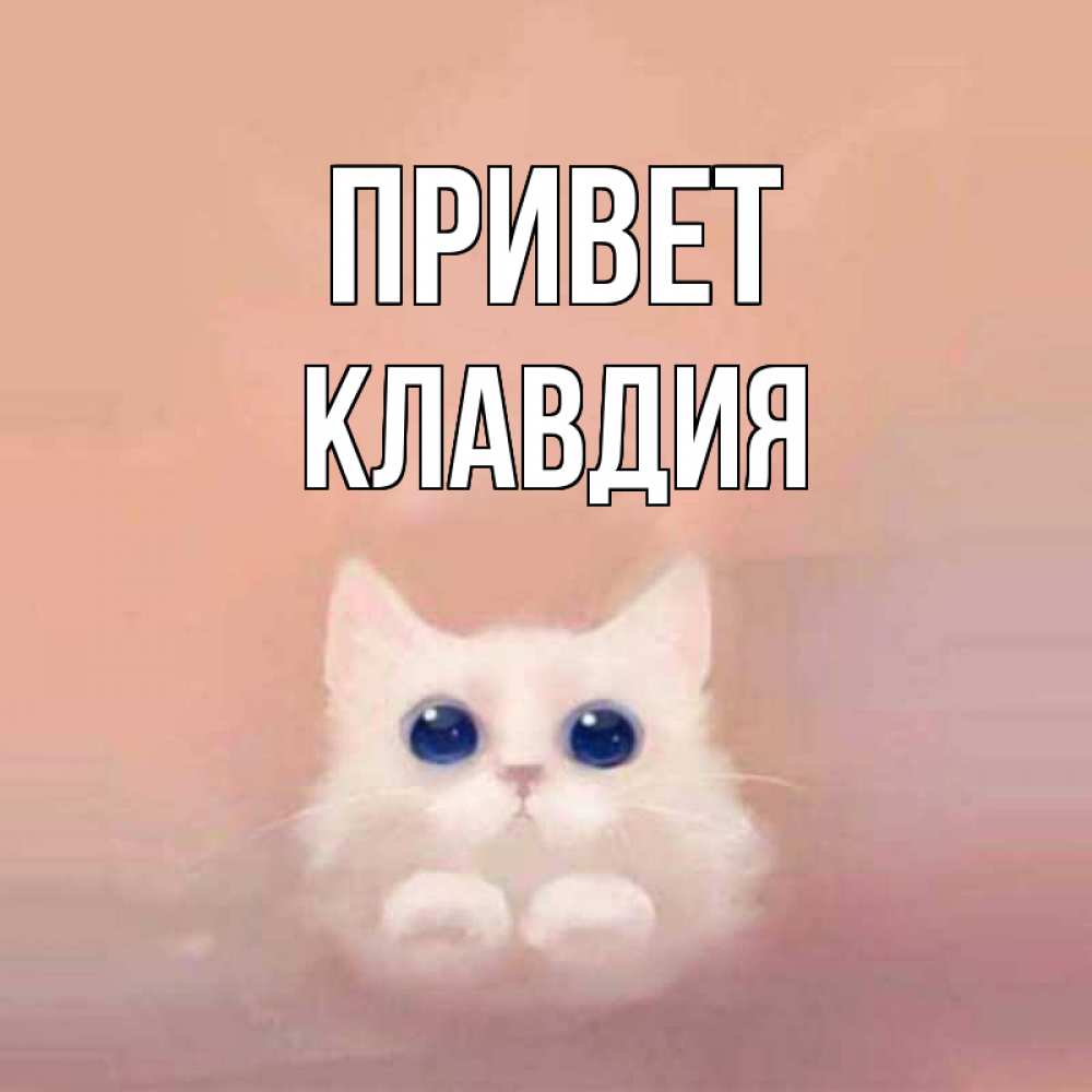 Открытка на каждый день с именем, Клавдия Привет котик белый в полете Прикольная открытка с пожеланием онлайн скачать бесплатно 