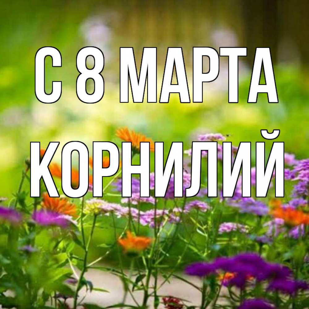 Открытка на каждый день с именем, Корнилий С 8 МАРТА цветы Прикольная открытка с пожеланием онлайн скачать бесплатно 