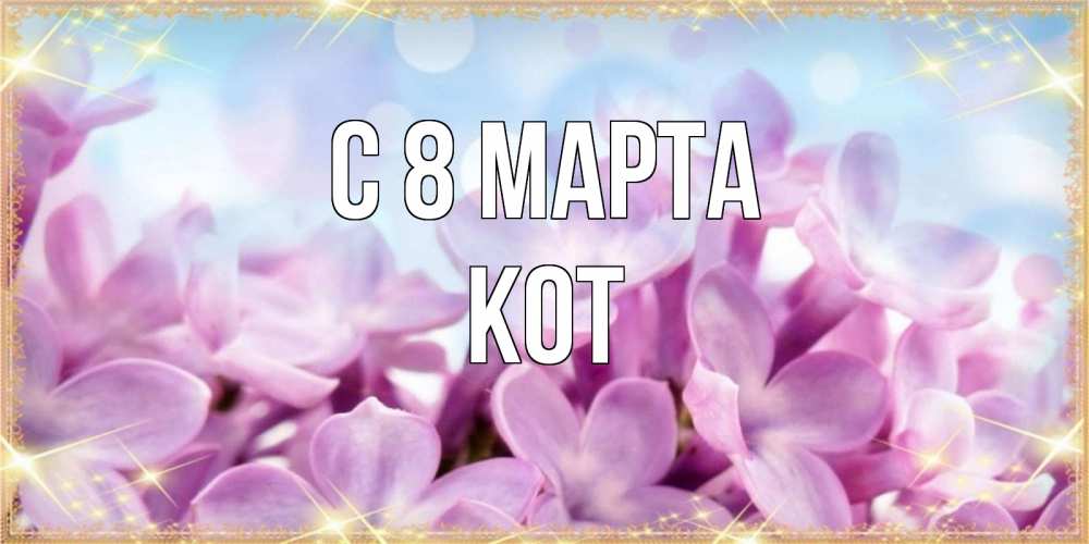 Открытка на каждый день с именем, Кот С 8 МАРТА открытка на международный женский день с цветами Прикольная открытка с пожеланием онлайн скачать бесплатно 