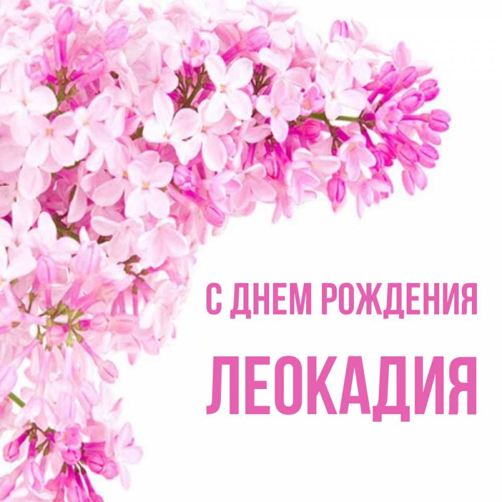Открытка на каждый день с именем, Леокадия С днем рождения Сирень на белом фоне Прикольная открытка с пожеланием онлайн скачать бесплатно 