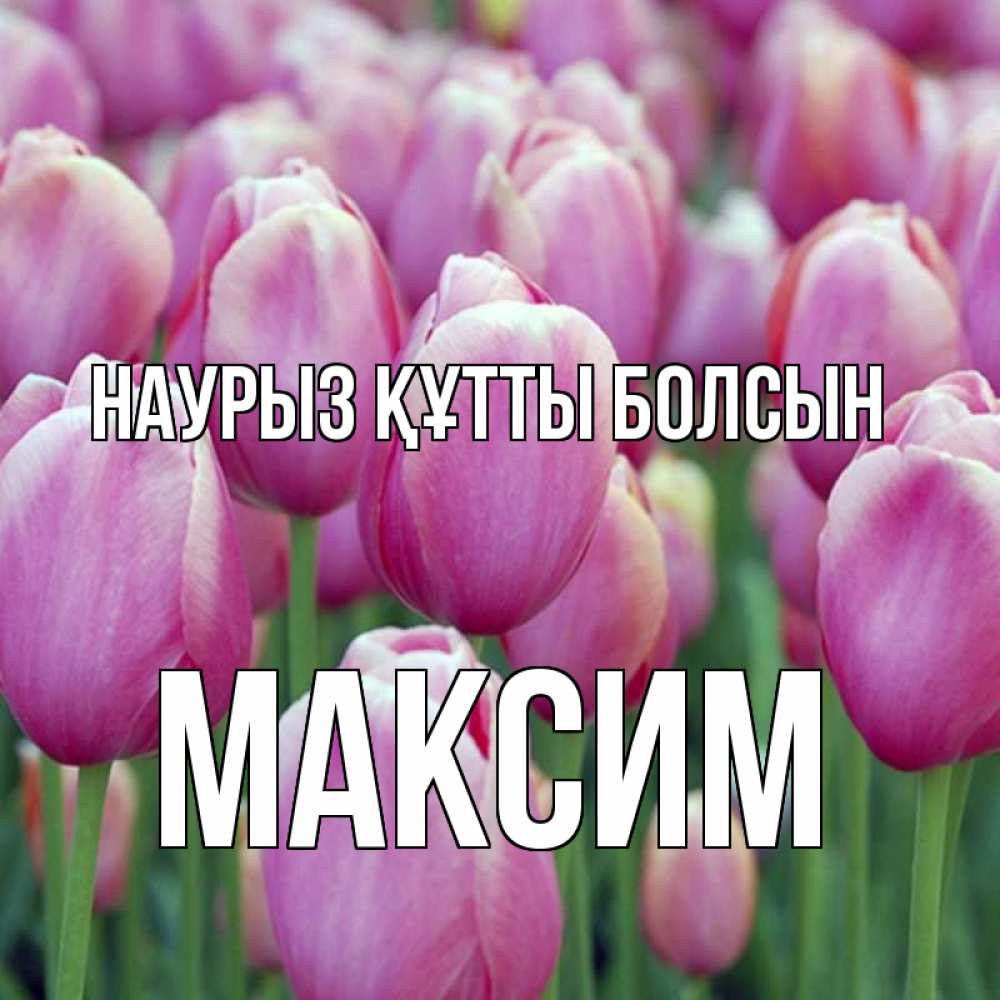 Открытка на каждый день с именем, Максим Наурыз құтты болсын на наурыз  день 3 Прикольная открытка с пожеланием онлайн скачать бесплатно 