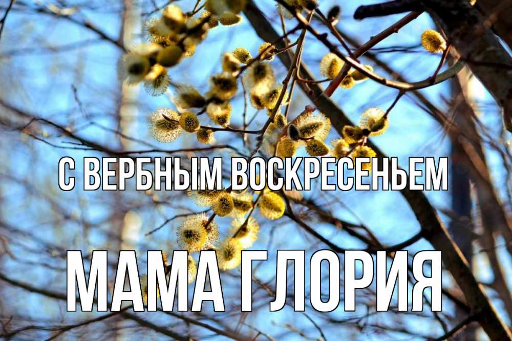 Открытка на каждый день с именем, Мама-Глория С вербным воскресеньем верба Прикольная открытка с пожеланием онлайн скачать бесплатно 