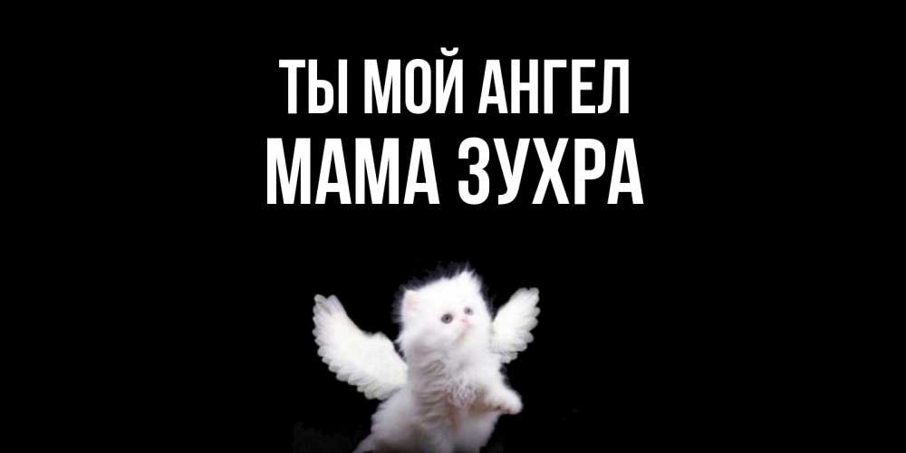 Открытка на каждый день с именем, Мама-Зухра Ты мой ангел Кот ангел Прикольная открытка с пожеланием онлайн скачать бесплатно 