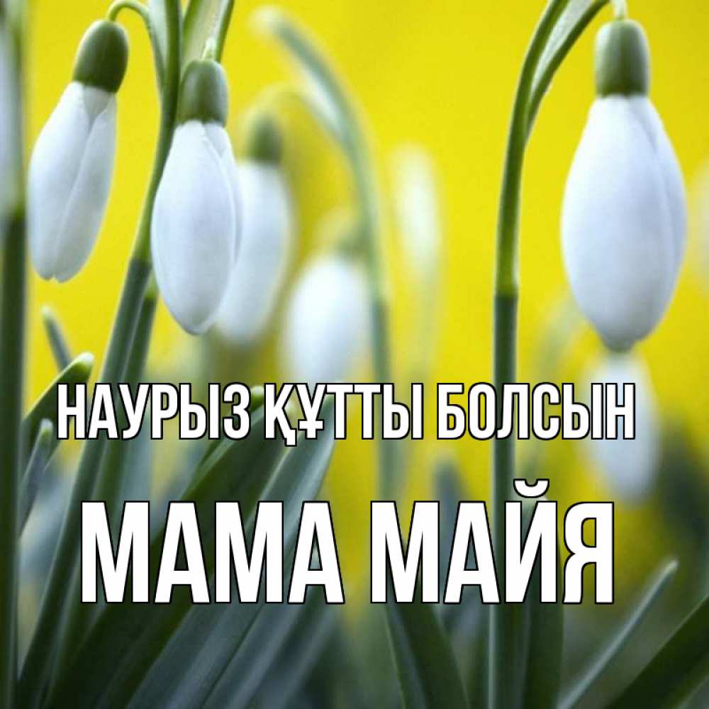 Открытка на каждый день с именем, Мама-Майя Наурыз құтты болсын весенние цветы Прикольная открытка с пожеланием онлайн скачать бесплатно 