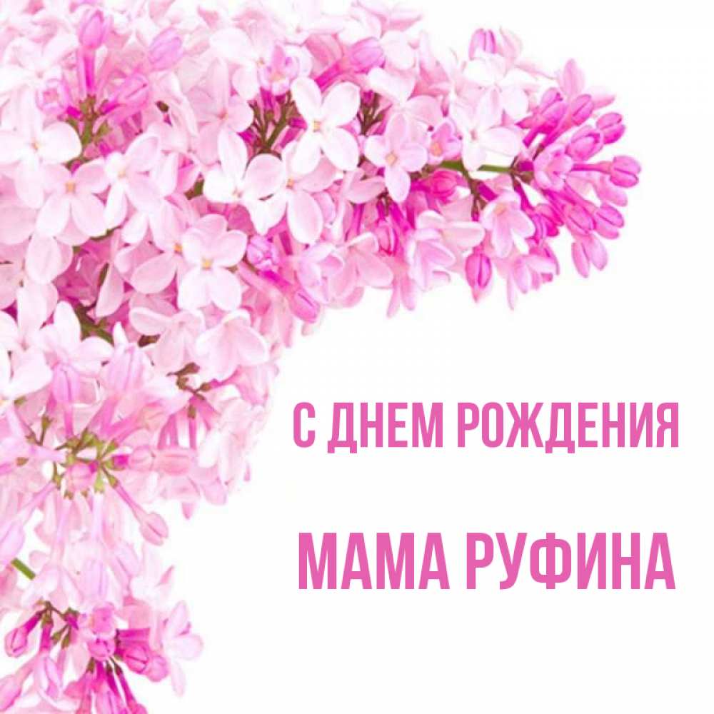 Открытка на каждый день с именем, Мама-Руфина С днем рождения Сирень на белом фоне Прикольная открытка с пожеланием онлайн скачать бесплатно 