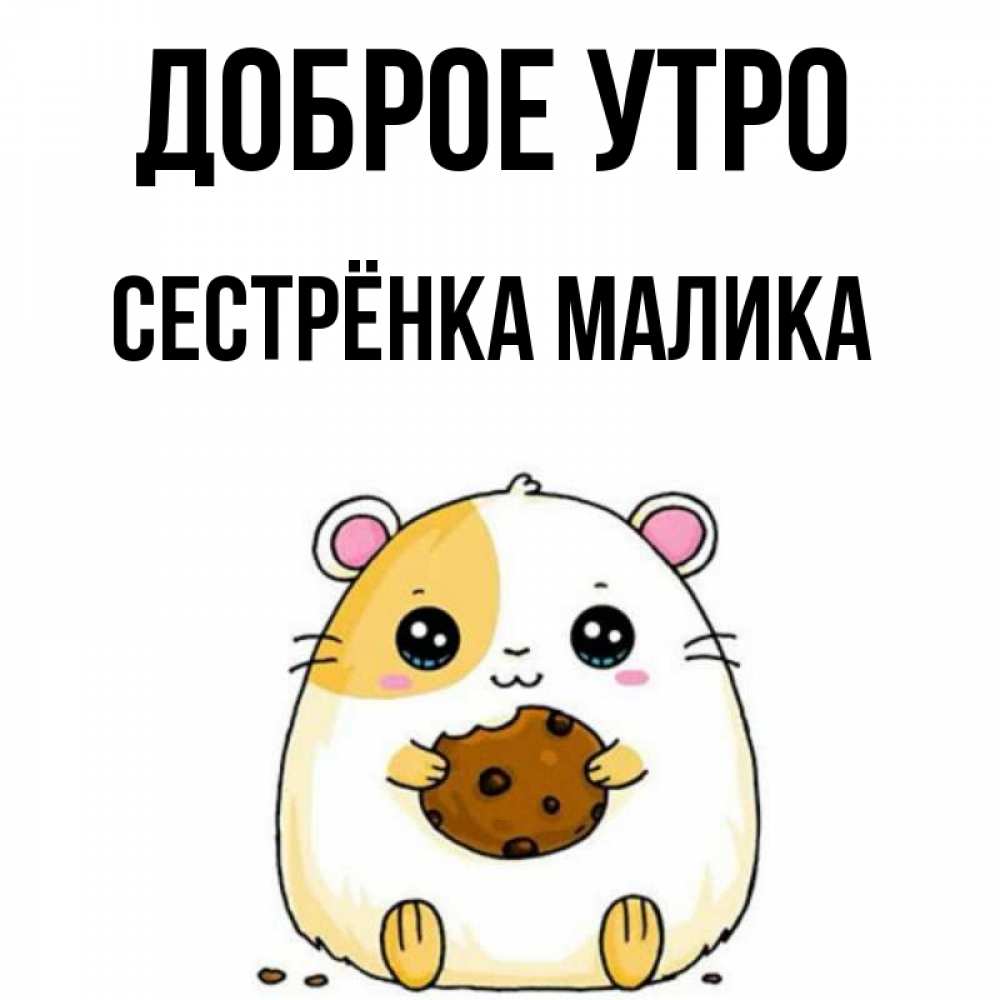 Открытка на каждый день с именем, Сестрёнка-Малика Доброе утро есть печеньку. Утречко Прикольная открытка с пожеланием онлайн скачать бесплатно 