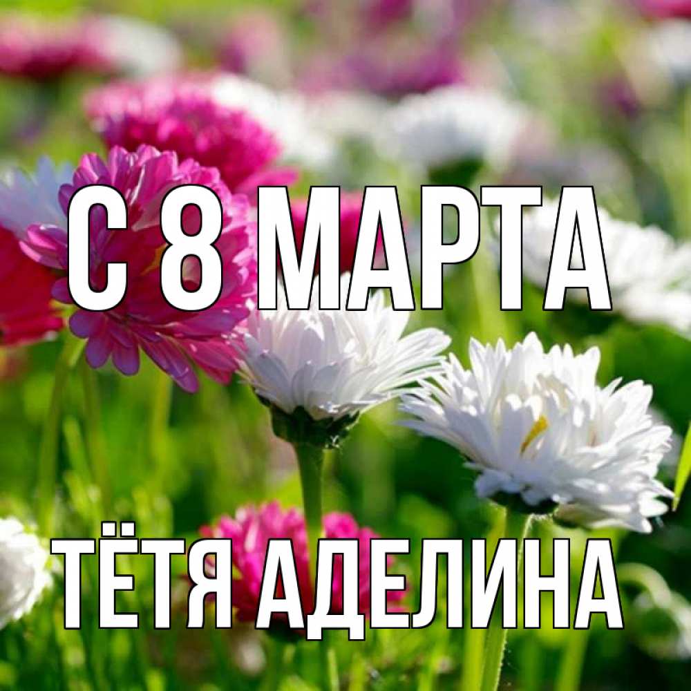 Открытка на каждый день с именем, Тётя-Аделина С 8 МАРТА международный женский день 1 Прикольная открытка с пожеланием онлайн скачать бесплатно 