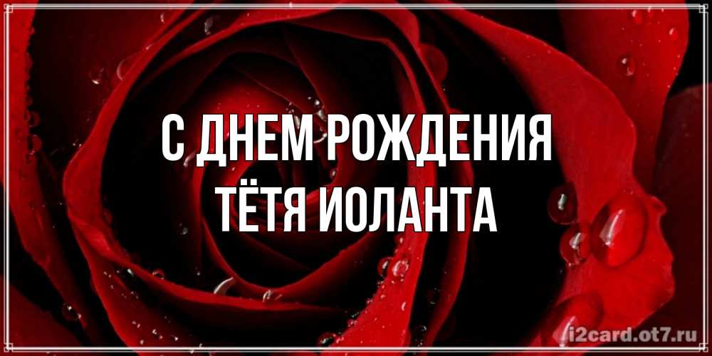 Открытка на каждый день с именем, Тётя-Иоланта С днем рождения крупная бордовая роза Прикольная открытка с пожеланием онлайн скачать бесплатно 