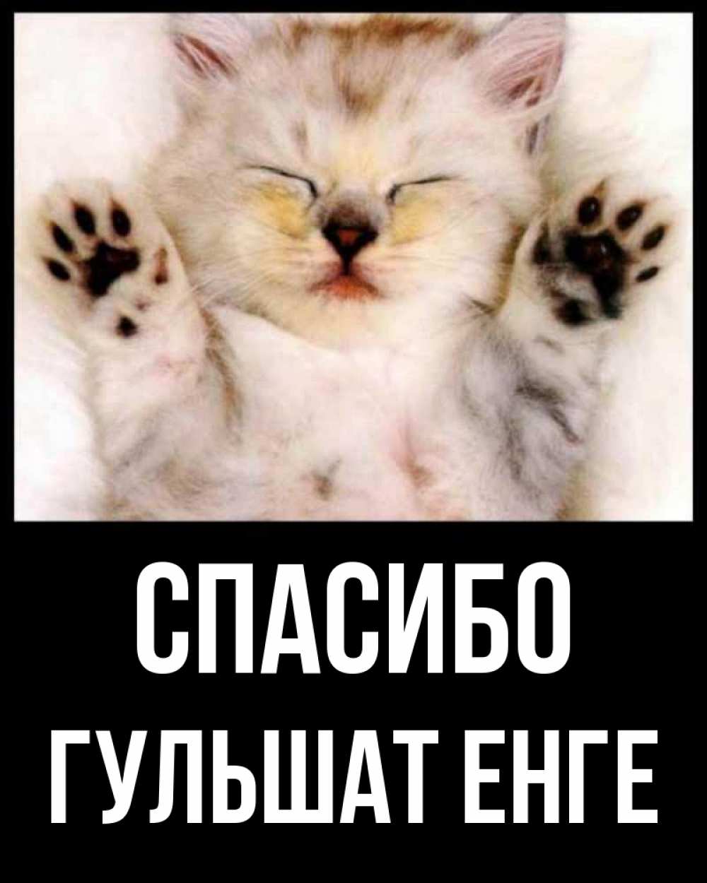 С днем рождения гульшат