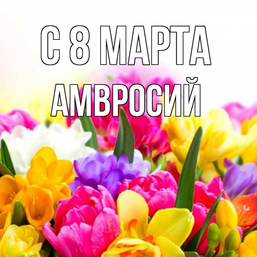 Открытка на каждый день с именем, Амвросий С 8 МАРТА тюльпаны Прикольная открытка с пожеланием онлайн скачать бесплатно 