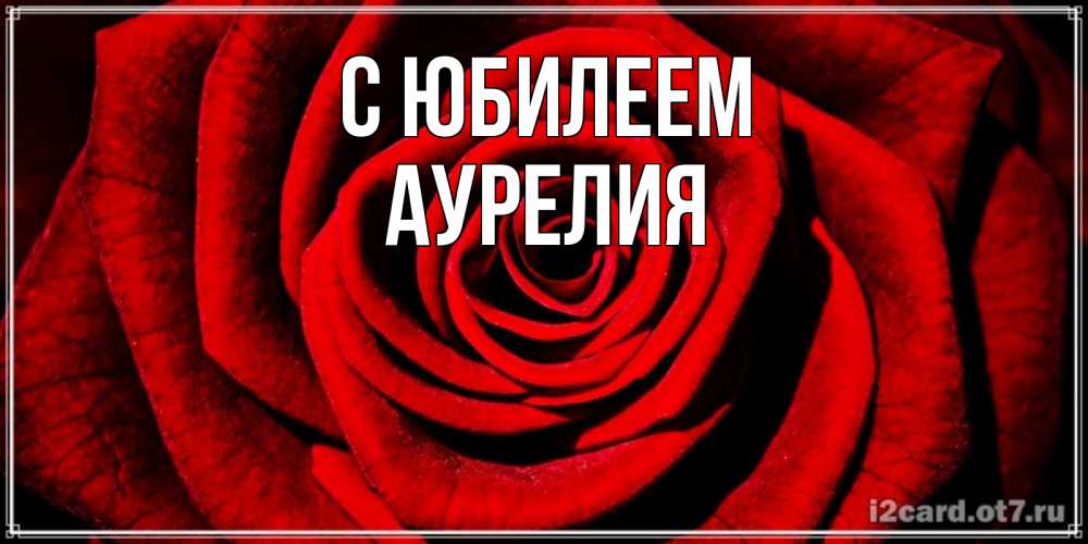 Открытка на каждый день с именем, Аурелия С юбилеем алая роза Прикольная открытка с пожеланием онлайн скачать бесплатно 