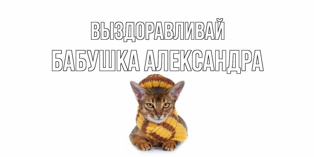 Открытка на каждый день с именем, Бабушка-Александра Выздоравливай родные не болейте Прикольная открытка с пожеланием онлайн скачать бесплатно 