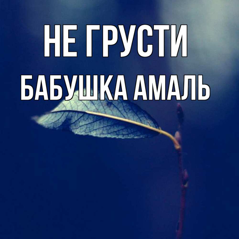 Открытка на каждый день с именем, Бабушка-Амаль Не грусти растение Прикольная открытка с пожеланием онлайн скачать бесплатно 