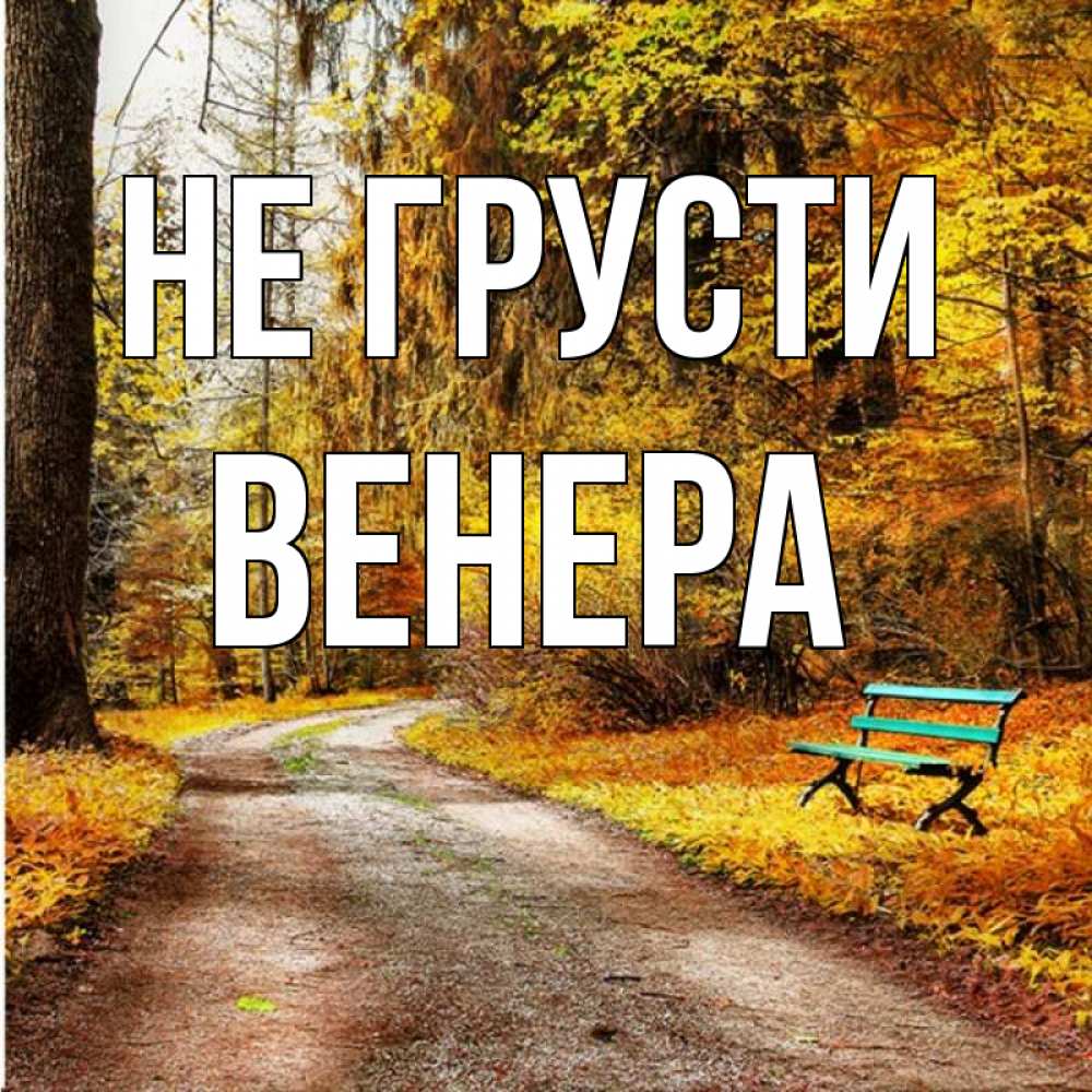 Открытка на каждый день с именем, Венера Не грусти зеленая лавочка Прикольная открытка с пожеланием онлайн скачать бесплатно 