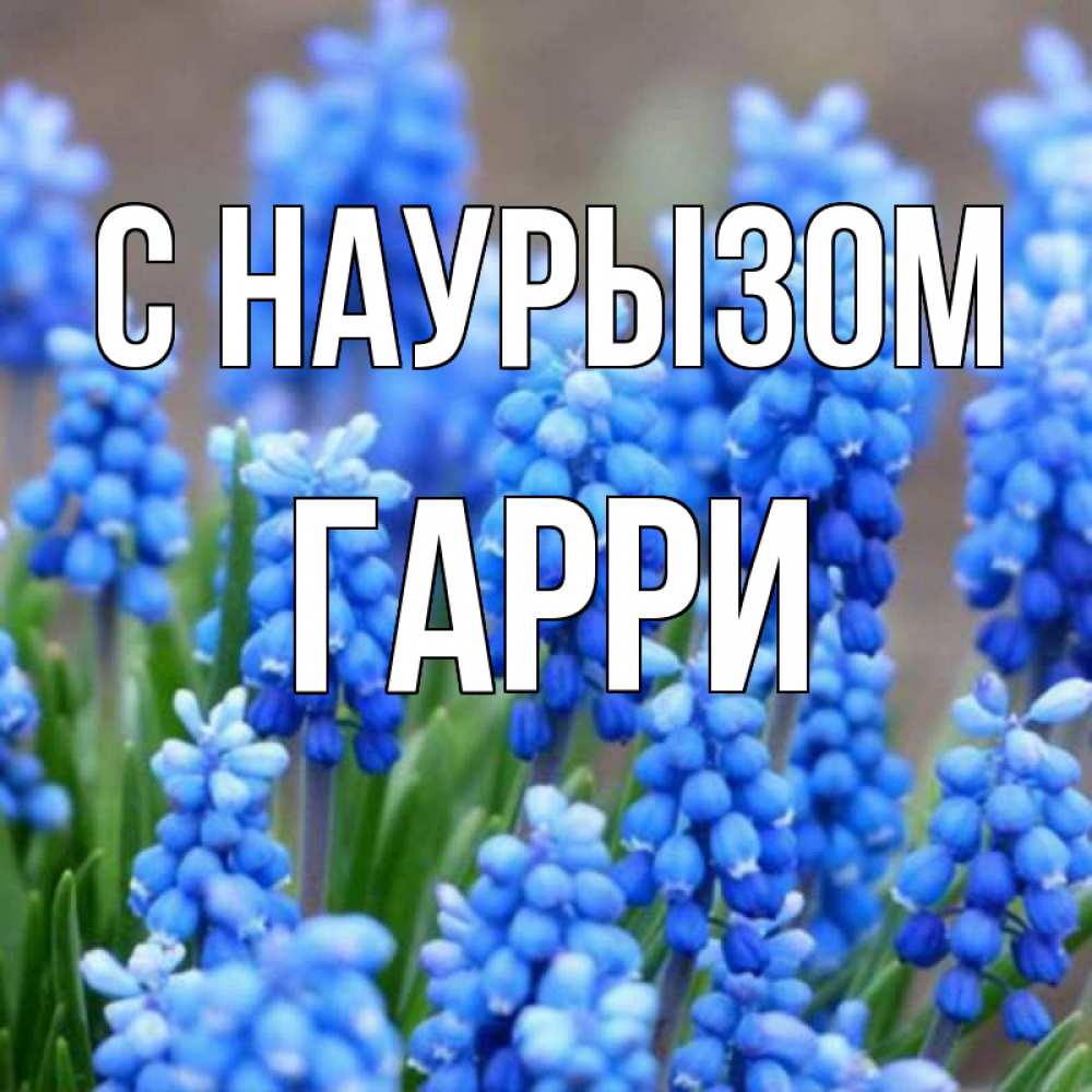 Открытка на каждый день с именем, Гарри С наурызом Поздравительная открытка для женщин с цветами на праздничную дату Прикольная открытка с пожеланием онлайн скачать бесплатно 