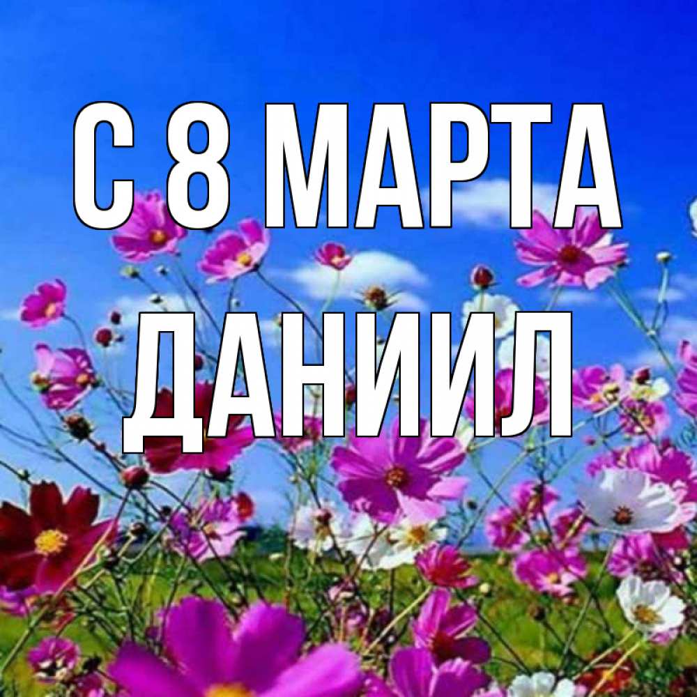 Открытка на каждый день с именем, Даниил С 8 МАРТА цветы Прикольная открытка с пожеланием онлайн скачать бесплатно 