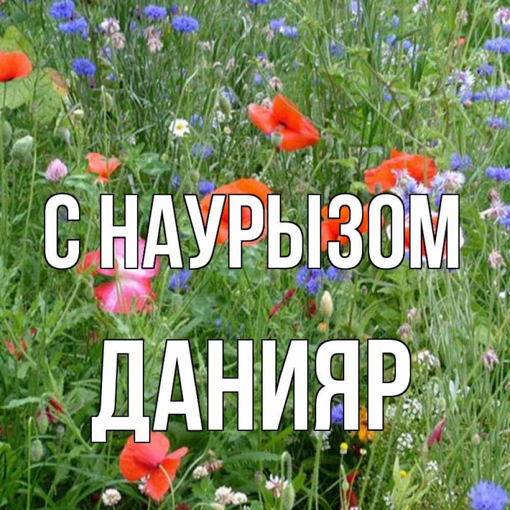 Открытка на каждый день с именем, Данияр С наурызом праздник весны наурыз супер открытка Прикольная открытка с пожеланием онлайн скачать бесплатно 