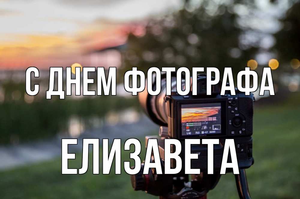 Открытка на каждый день с именем, Елизавета С днем фотографа с днем фотографа Прикольная открытка с пожеланием онлайн скачать бесплатно 