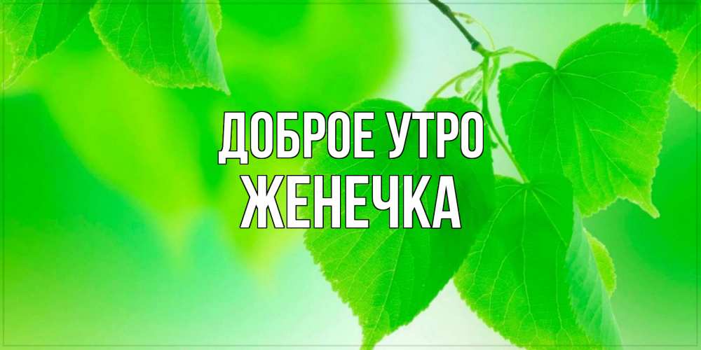Открытка на каждый день с именем, Женечка Доброе утро доброе утро с березовыми листьями Прикольная открытка с пожеланием онлайн скачать бесплатно 