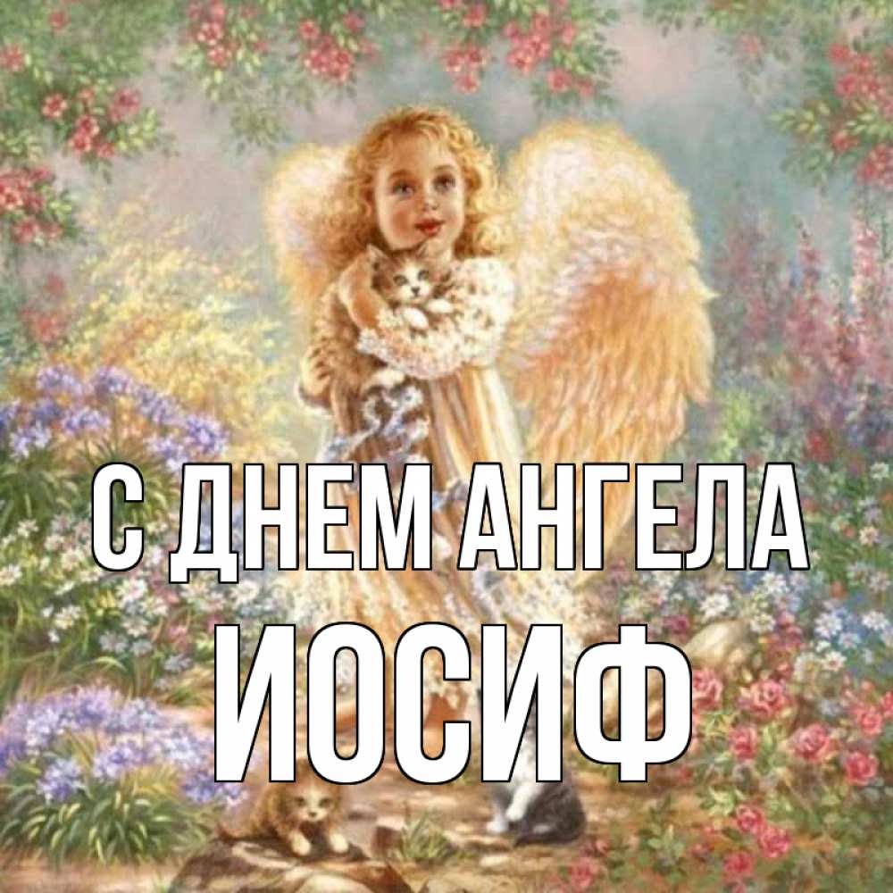 Открытка на каждый день с именем, Иосиф С днем ангела держит котенка Прикольная открытка с пожеланием онлайн скачать бесплатно 