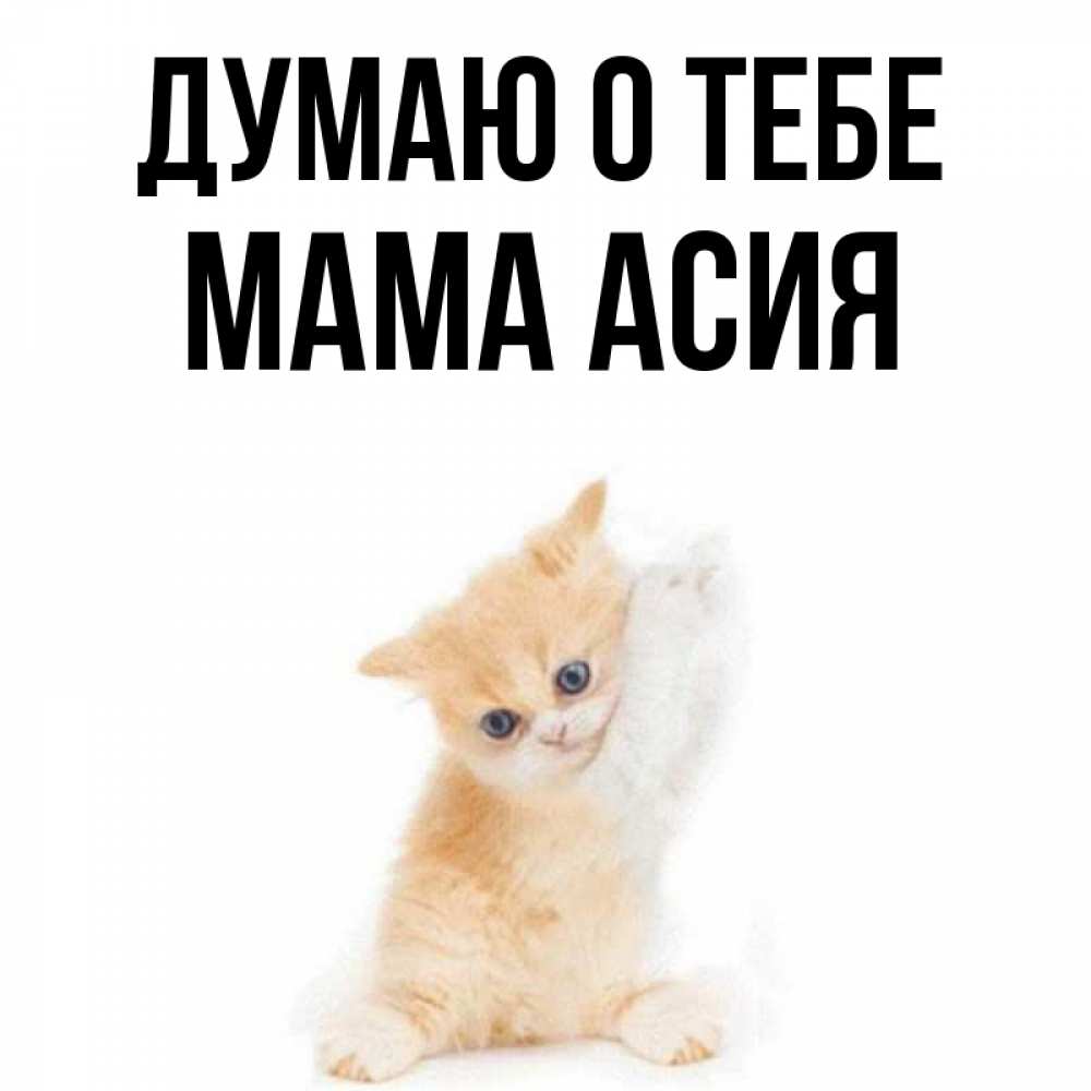 Открытка на каждый день с именем, Мама-Асия Думаю о тебе зверушки и милота Прикольная открытка с пожеланием онлайн скачать бесплатно 