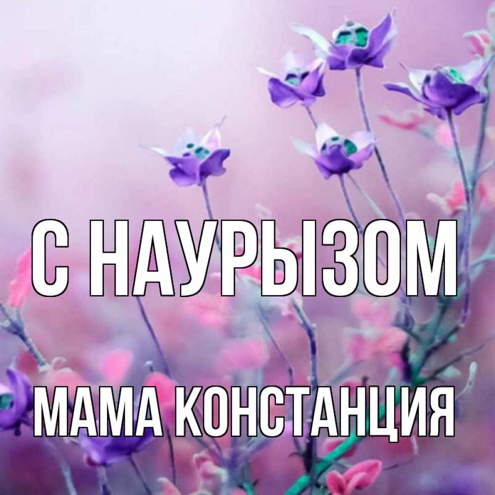 Открытка на каждый день с именем, Мама-Констанция С наурызом международный женский день 2 Прикольная открытка с пожеланием онлайн скачать бесплатно 