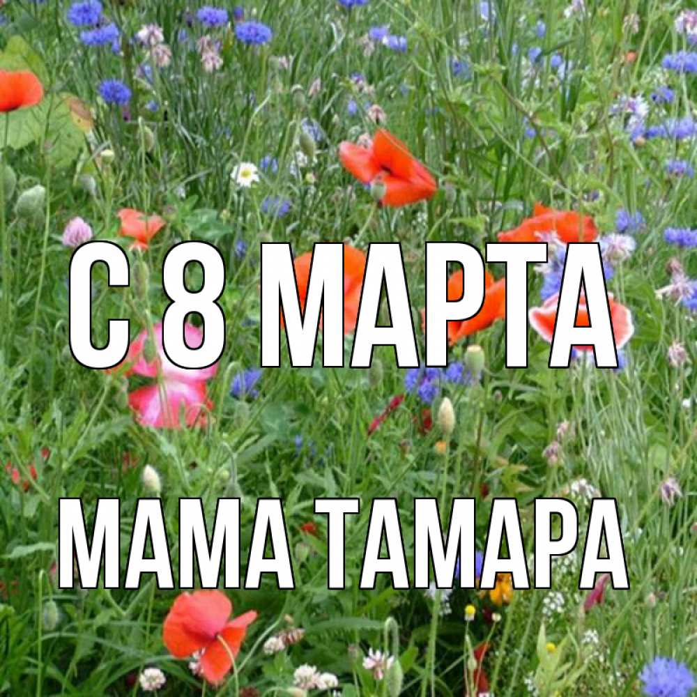 Открытка на каждый день с именем, Мама-Тамара С 8 марта международный женский день 4 Прикольная открытка с пожеланием онлайн скачать бесплатно 