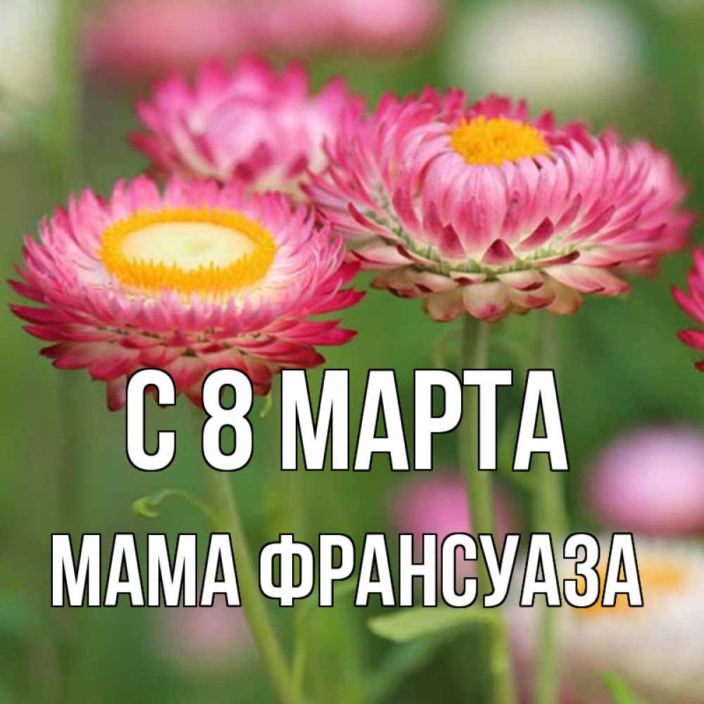 Открытка на каждый день с именем, Мама-Франсуаза С 8 МАРТА подарок на международный женский день Прикольная открытка с пожеланием онлайн скачать бесплатно 