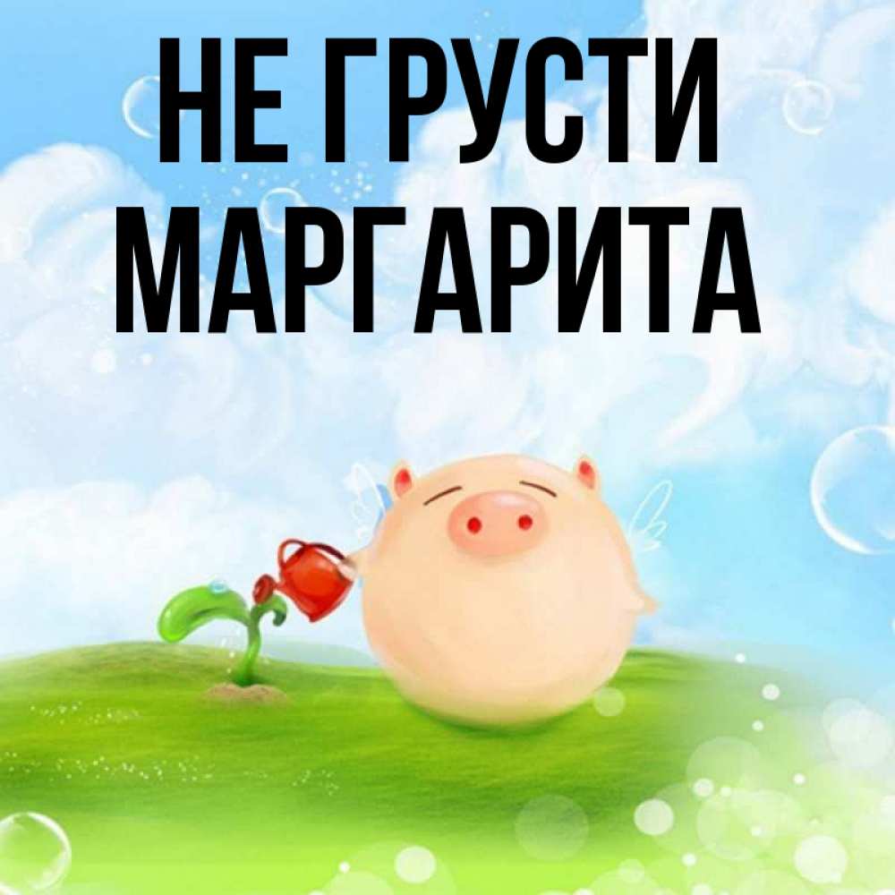 Открытка на каждый день с именем, Маргарита Не грусти поливает цветок порося Прикольная открытка с пожеланием онлайн скачать бесплатно 