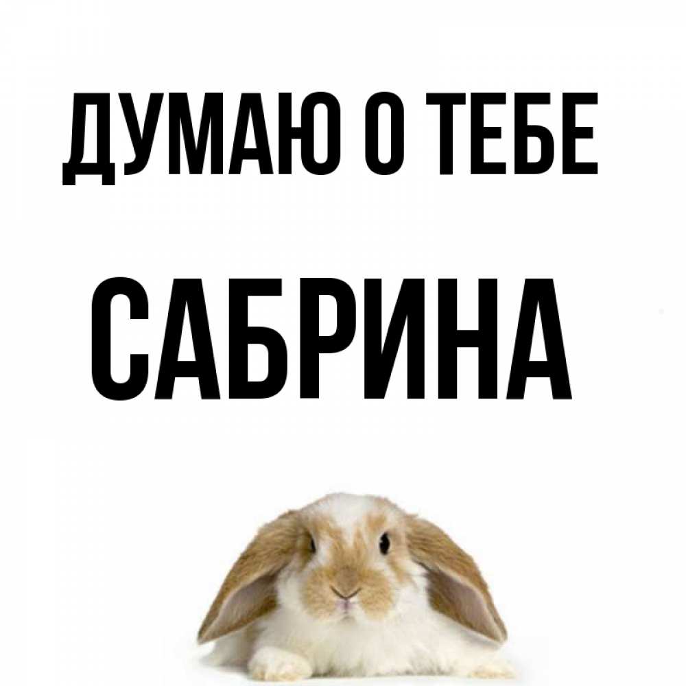Открытка на каждый день с именем, Сабрина Думаю о тебе подписать своими руками онлайн Прикольная открытка с пожеланием онлайн скачать бесплатно 
