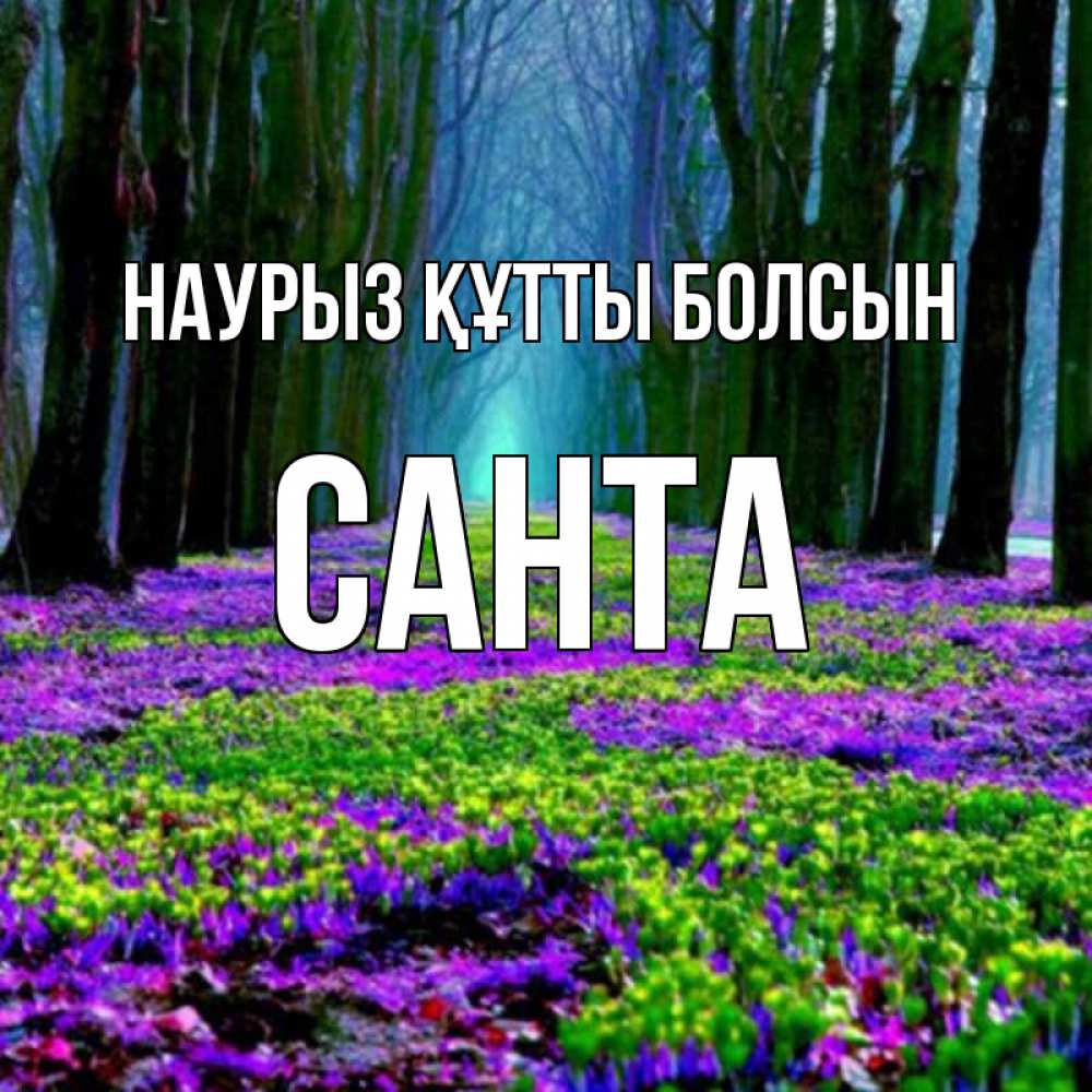 Открытка на каждый день с именем, Санта Наурыз құтты болсын фиолетовые цветы в лесу 1 Прикольная открытка с пожеланием онлайн скачать бесплатно 