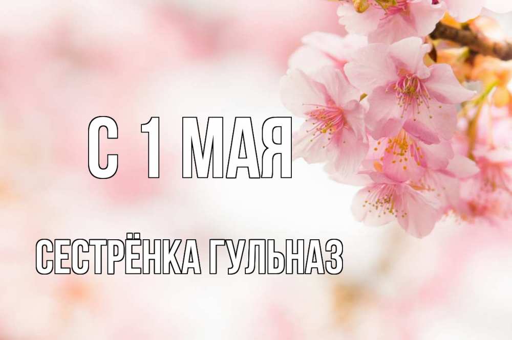 Открытка на каждый день с именем, Сестрёнка-Гульназ С 1 мая С 1 мая Прикольная открытка с пожеланием онлайн скачать бесплатно 