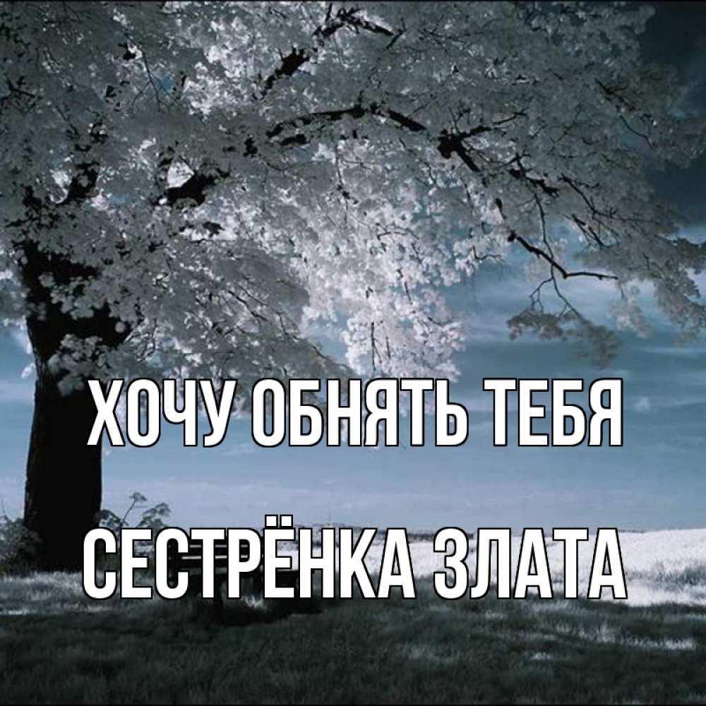 Открытка на каждый день с именем, Сестрёнка-Злата Хочу обнять тебя дерево Прикольная открытка с пожеланием онлайн скачать бесплатно 