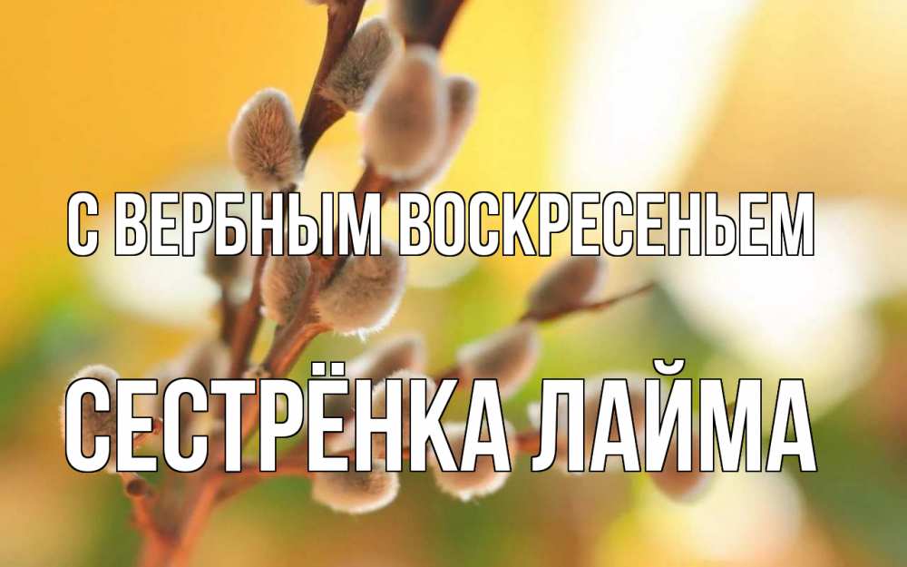 Открытка на каждый день с именем, Сестрёнка-Лайма С вербным воскресеньем верба Прикольная открытка с пожеланием онлайн скачать бесплатно 