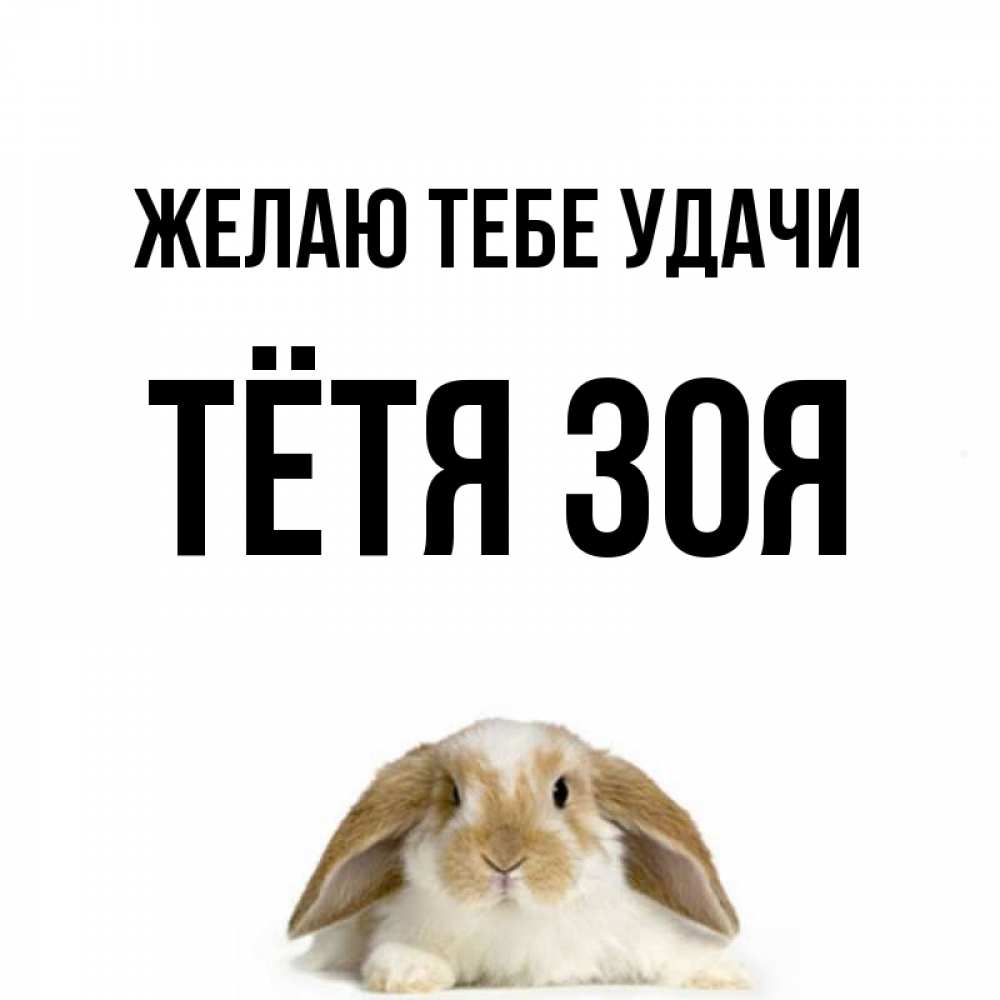 Открытка на каждый день с именем, Тётя-Зоя Желаю тебе удачи открытки с произвольным текстом который можно вставить в открытку и создать ее самостоятельно бесплатно онлайн Прикольная открытка с пожеланием онлайн скачать бесплатно 