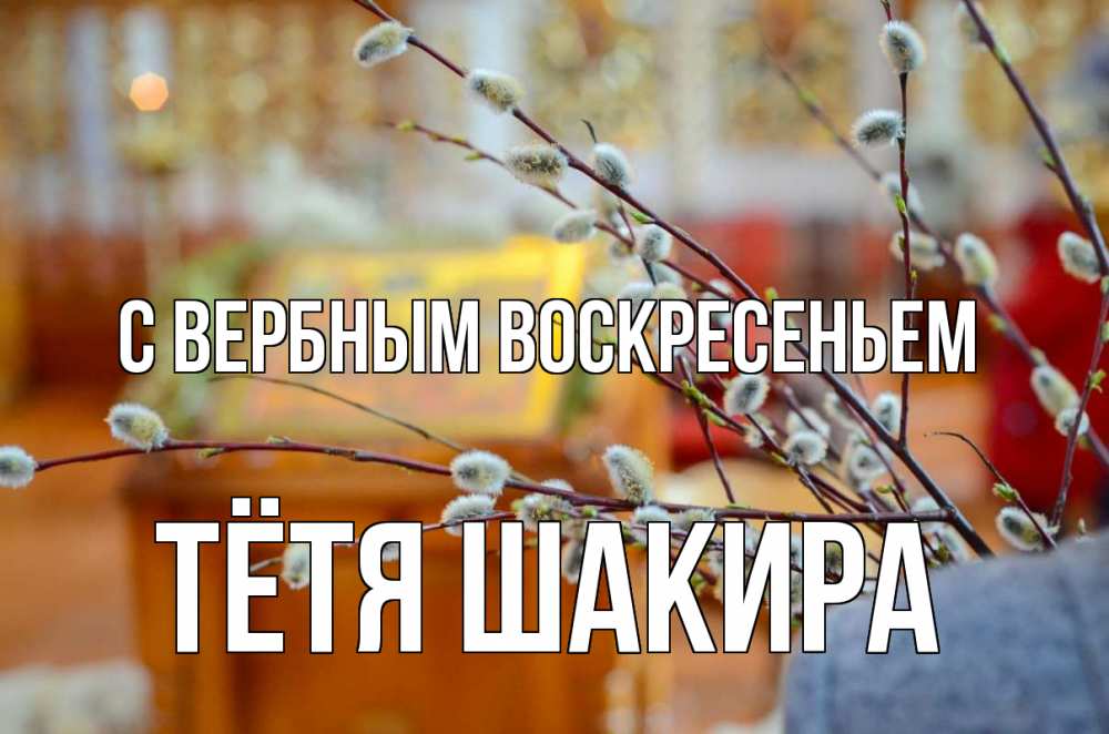 Открытка на каждый день с именем, Тётя-Шакира С вербным воскресеньем верба Прикольная открытка с пожеланием онлайн скачать бесплатно 