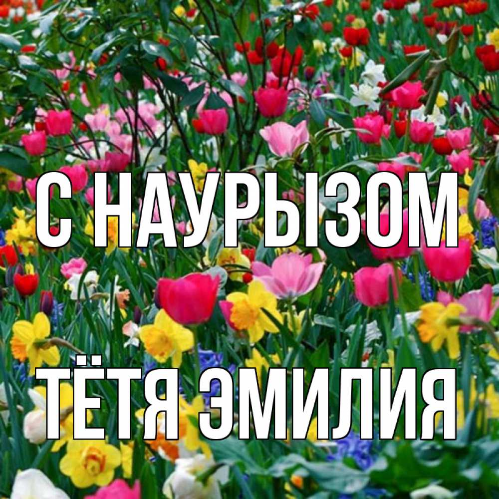 Открытка на каждый день с именем, Тётя-Эмилия С наурызом с наурызом праздником весны поздравления для женщины Прикольная открытка с пожеланием онлайн скачать бесплатно 