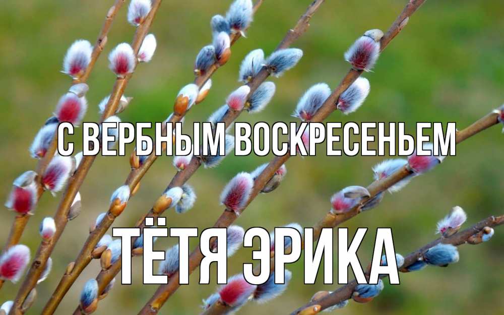 Открытка на каждый день с именем, Тётя-Эрика С вербным воскресеньем верба Прикольная открытка с пожеланием онлайн скачать бесплатно 