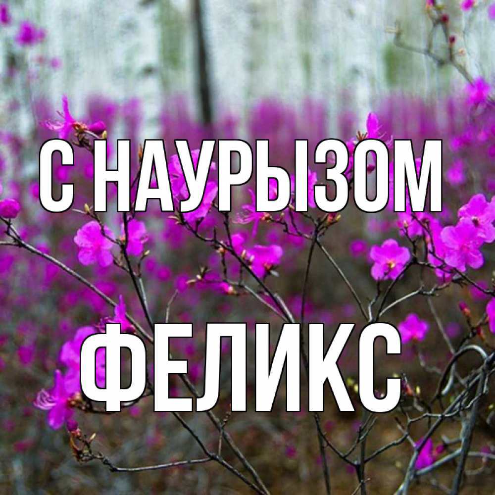 Открытка на каждый день с именем, Феликс С наурызом дикие цветы Прикольная открытка с пожеланием онлайн скачать бесплатно 