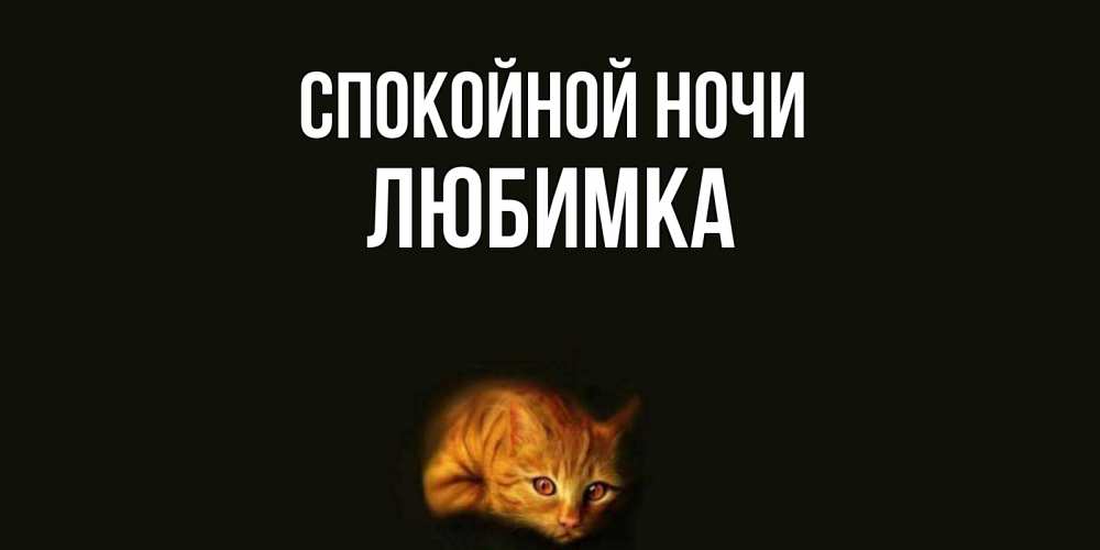 Открытка на каждый день с именем, любимка Спокойной ночи кот Прикольная открытка с пожеланием онлайн скачать бесплатно 