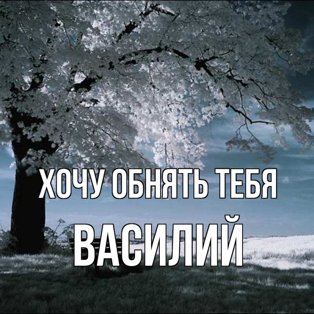 Открытка на каждый день с именем, Василий Хочу обнять тебя дерево Прикольная открытка с пожеланием онлайн скачать бесплатно 