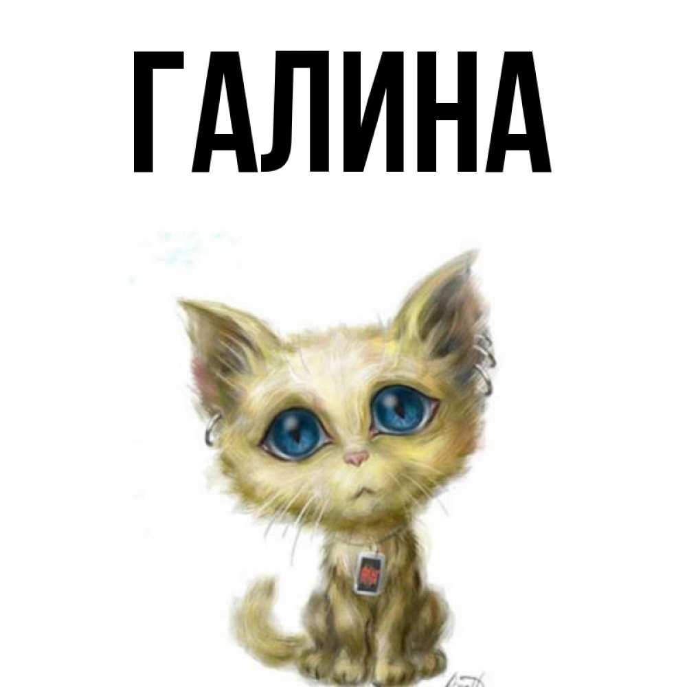 Открытка на каждый день с именем, Галина Главная рисованный кот благодарит вас Прикольная открытка с пожеланием онлайн скачать бесплатно 