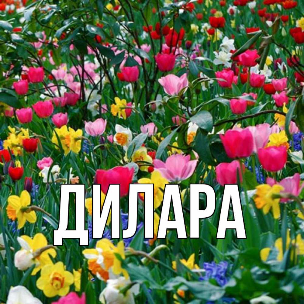 Открытка на каждый день с именем, Дилара Главная с международным женским днем поздравления для женщины Прикольная открытка с пожеланием онлайн скачать бесплатно 