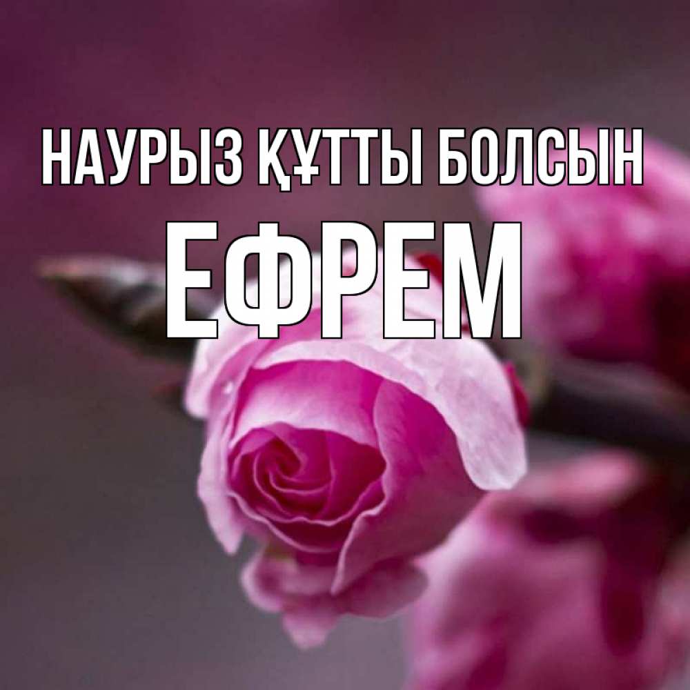 Открытка на каждый день с именем, Ефрем Наурыз құтты болсын весна Прикольная открытка с пожеланием онлайн скачать бесплатно 