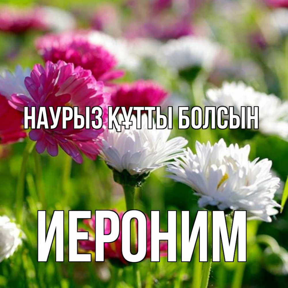 Открытка на каждый день с именем, Иероним Наурыз құтты болсын наурыз Прикольная открытка с пожеланием онлайн скачать бесплатно 